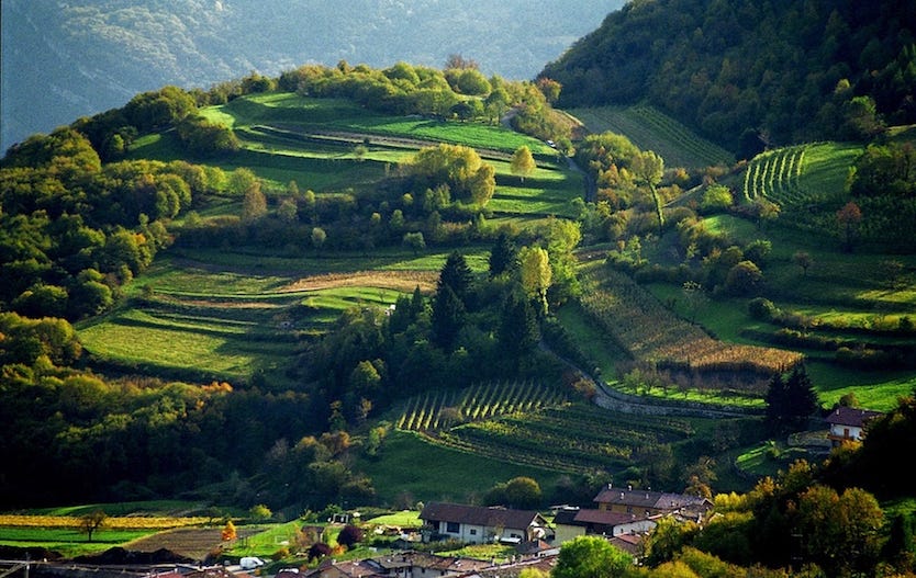 Val di Gresta sponda trentina del Lago di Garda