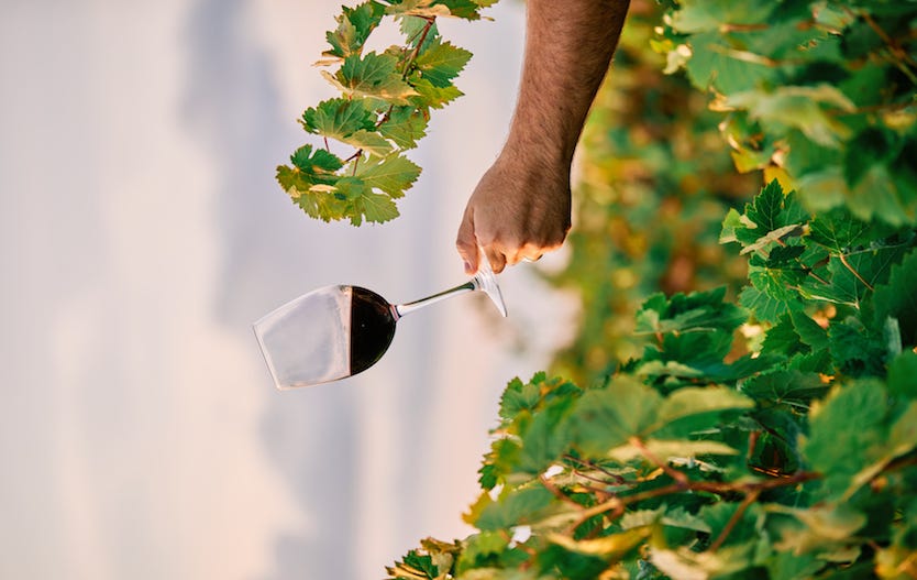 Bicchiere di Teroldego vino rosso trentino 