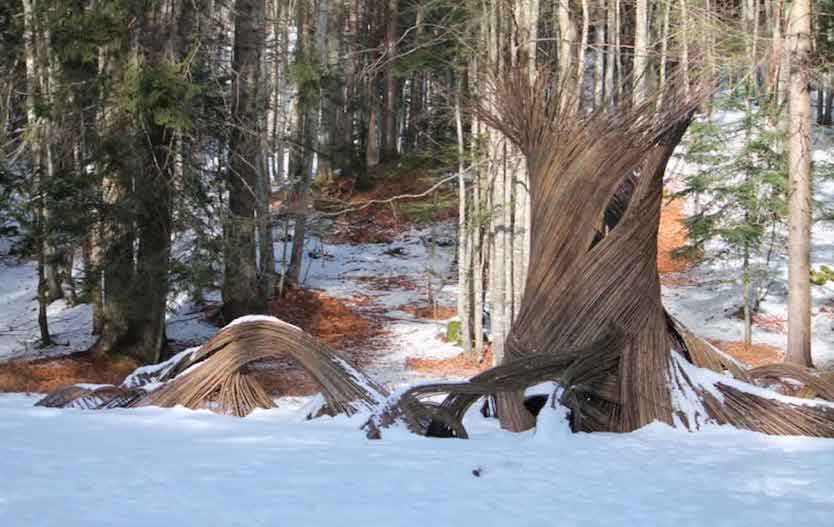 Respiro degli Alberi in Trentino camminata d'inverno