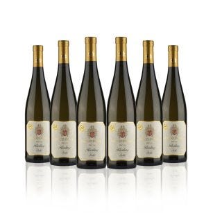 Vino Riesling Trentino DOC "Stelle" 6 bottiglie