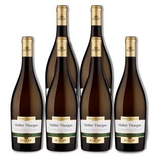 Muller Thurgau Frizzante