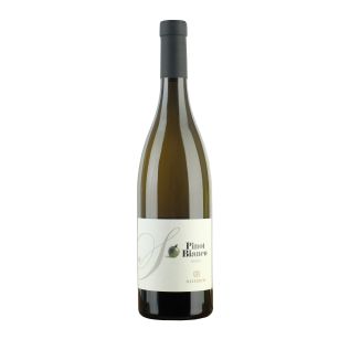 VINO BIANCO PINOT BIANCO RISERVA DOC 75 CL | SALIZZONI