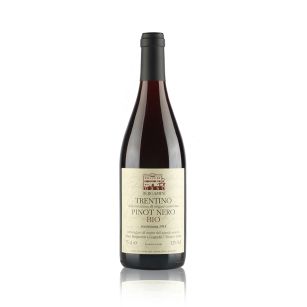 Trentino Pinot Nero BIO 75